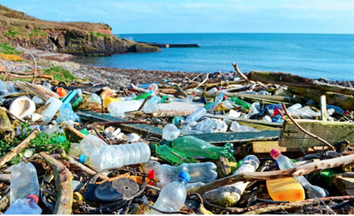 Những điều cần biết về tác hại của rác thải nhựa với môi trường và đời sống con người

